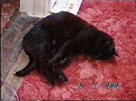 Strange position no.1 - (c)1999 tilmun.com
