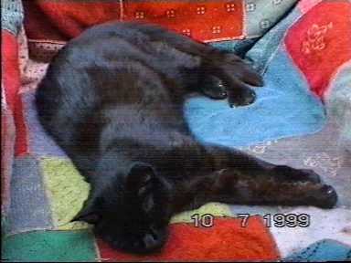 Chairs are for relaxing... - (c)1999 tilmun.com