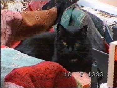 Slightly more at ease! - (c)1999 tilmun.com